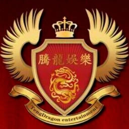腾龙新盛国际 Logo